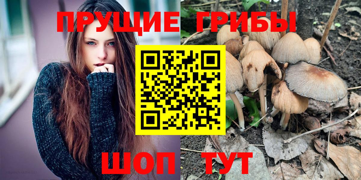 Сатка  купить  цена  Вход с VPN  Галлюциногенные грибы Cubensis 